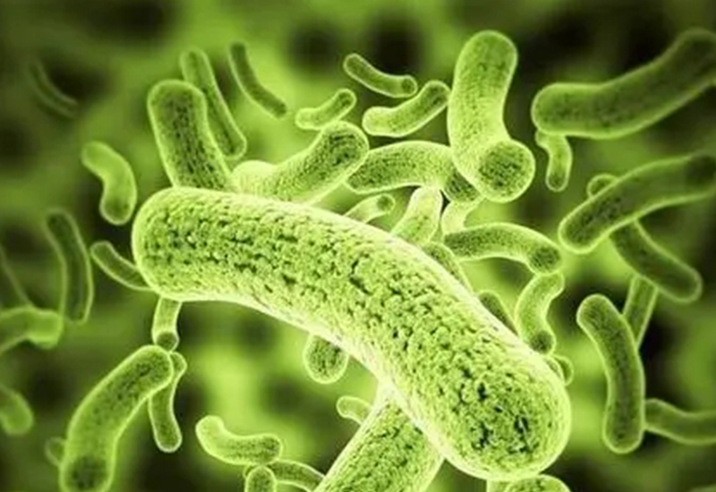 细菌生长抑制剂